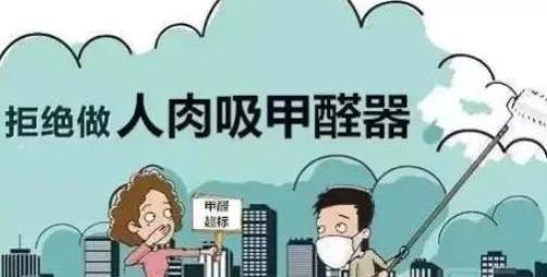 除甲醛的公司有哪些?-第2张图片 除甲醛的公司有哪些?-第2张图片