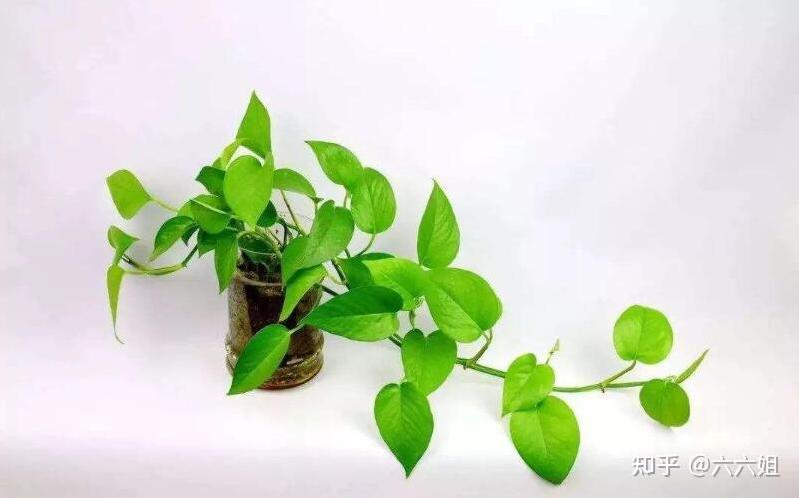新房装修装新风真的可以马上入住吗?-第3张图片 新房装修装新风真的可以马上入住吗?-第3张图片