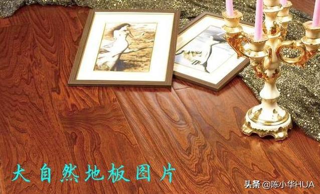 全屋铺木地板好还是只铺卧室好？-第3张图片